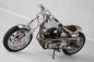 Kraus Motor company AMD World Championship