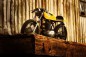 BSA 500