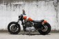 Custom XL 1200S Sportster Hide Motorcycle 1