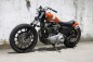 Custom XL 1200S Sportster Hide Motorcycle 3