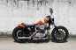 Custom XL 1200S Sportster Hide Motorcycle