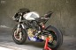 Ducati Monster Wildcat