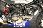 Ducati Monster Wildcat RAD 7