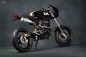 custom Honda FMX 650