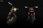 custom Kawasaki W650