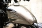 Sportster Forty-Eight