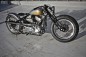 Sportster Evo by Customs