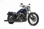 Bespoke Softail Blackline, Severa