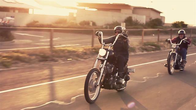 Cycle Zombies X Born free