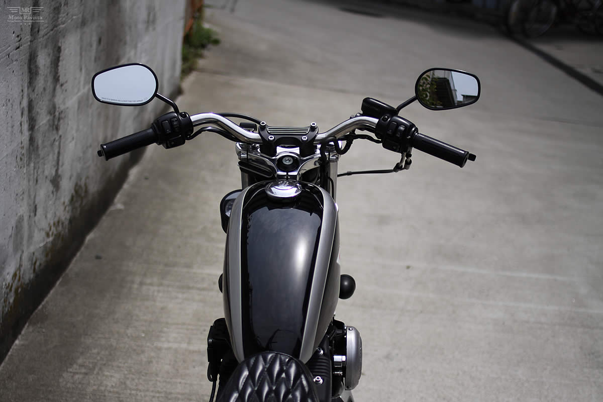 Custom Sportster by Hide Motorcycle