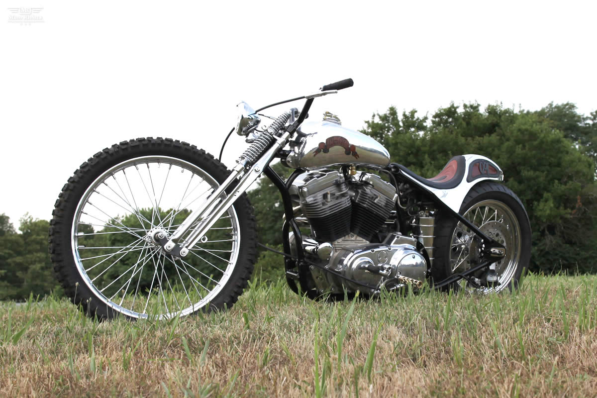 Sportster THE BLADE by Richard Grabbe