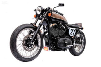 HD Sportster Bald Terrier top left view