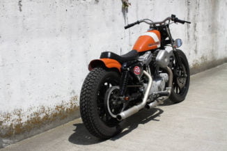 Custom XL 1200S Sportster Hide Motorcycle 2