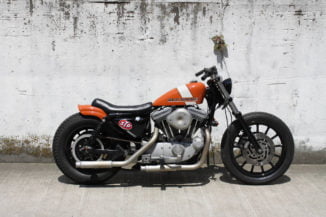 Custom XL 1200S Sportster Hide Motorcycle