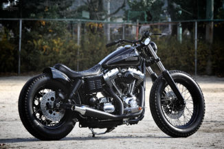 custom Harley-Davidson FXDL 2