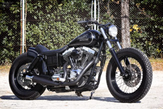 custom Harley-Davidson FXDL 3