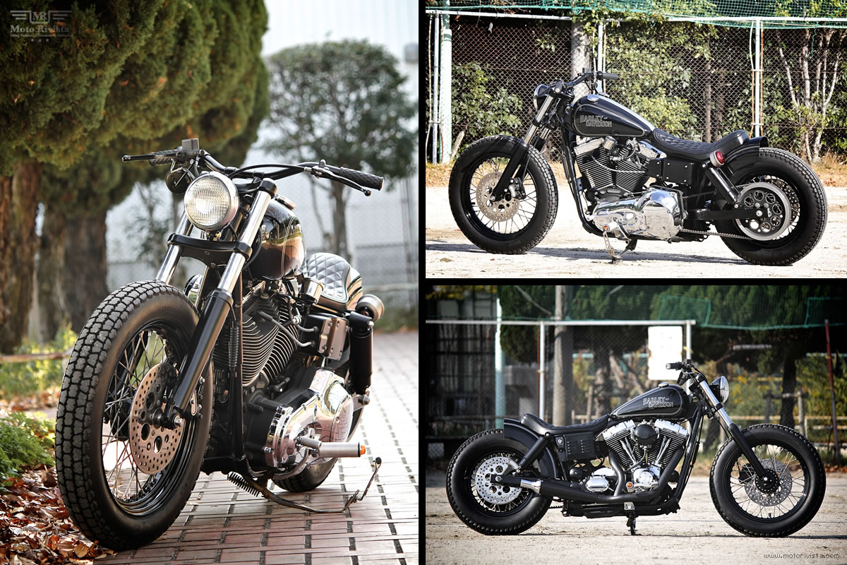 custom Harley-Davidson FXDL 1